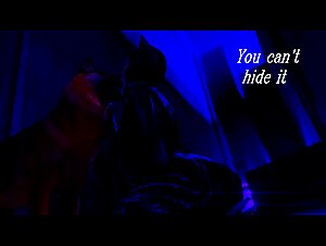 stages of a breeding bitch