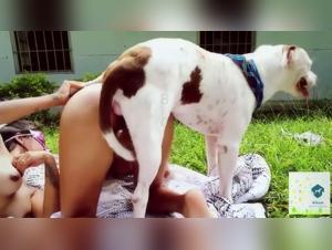 Submission K9 Sauvage