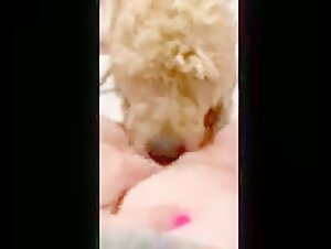 Submissive wife and her dog