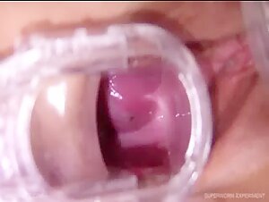 Submissive woman lets herself be taken by a dog in a bestial act