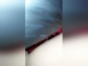 Submitted chihuahua: teenage and bestial debauchery