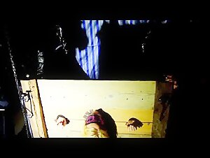 Suzan and her mysterious canine companion