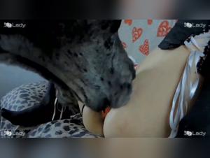 Taboo Challenges: Bestiality Filmed in High Definition