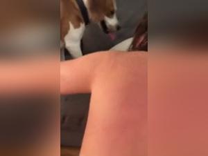 Taboo Challenges: Intense Bestial Sex