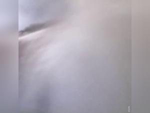 Taboo Desire: Animal Exploration