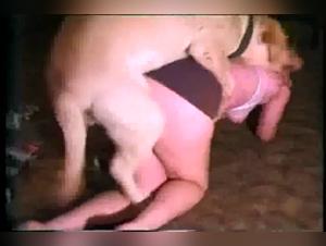 Taboo Exploited: Teen Subjugated to Chihuahua