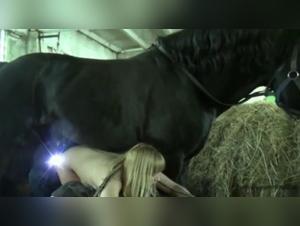 Team Russia Horse Lovers: Russian Bestial Delights