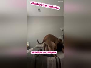 Teen Alone, extreme animal abuse