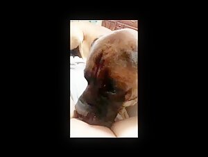 Teen female dog gets licked by dog   (short compilation)
