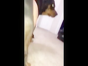 Teen girl with hairy pussy loves to fuck with her dog