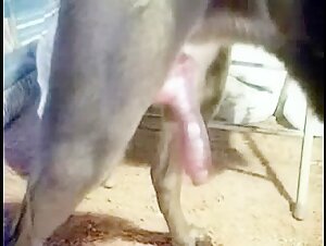 Teenage girl indulges in animalistic antics