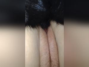 The Abuse Felin: extreme canine orgy