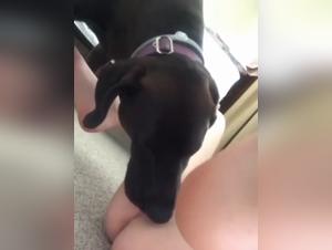 The Abyss of Desire: Milly in the Hell of Zoophilia