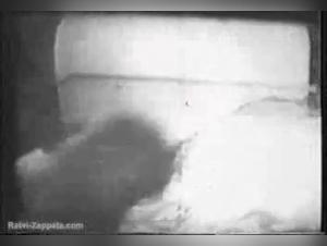 The Animal Abyss: Domination and Forbidden Desire in Caledonian