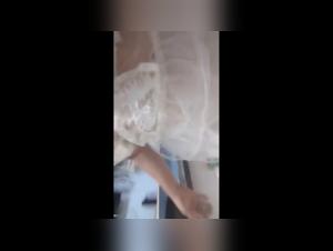 The animal brothel: prohibited delights