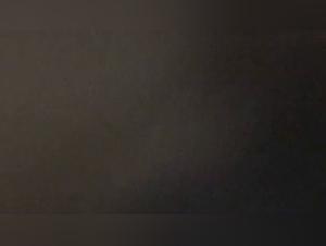 The animal impulses of a wild mother