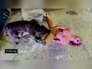 The art of canine domination: explore the wild side