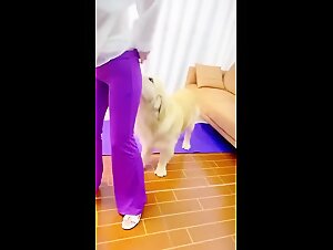 The Art of Zoophilia: Bestiality Taboo and Lust Porn with Dog - Dogsex Enluxure