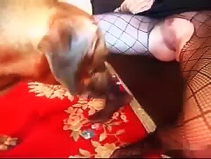 The art of zoophilia video: delicious dog fuck