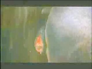 The Beast: A Forbidden Encounter