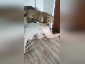 The beast in bed: canine explorations x woman