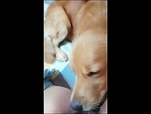 The beast within: Bestial enjoyment without limit