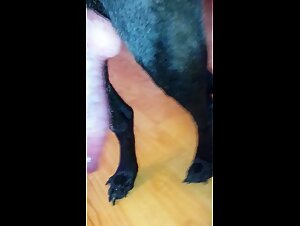 The best bestiality stories for zooskool and whore slut lovers