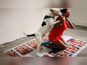 The best bestiality videos on the internet