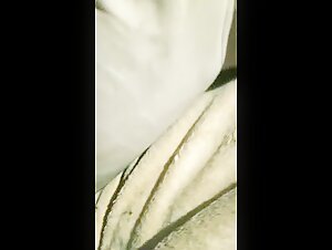 The Best Dog Sex Videos