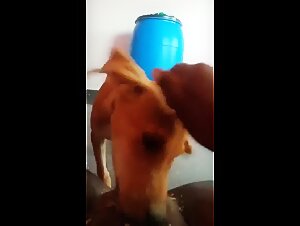 The best porn videos in the world with Asian women and dogs