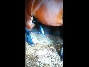 The best tickzootv and dogtube videos for gay lovers