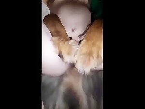 The claws of animal desire