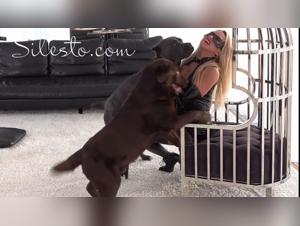 The claws of animal lust