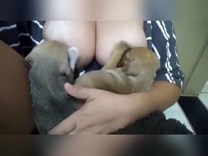 The Dark Art of Zoophilia