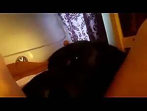 the darkest animal desires revealed