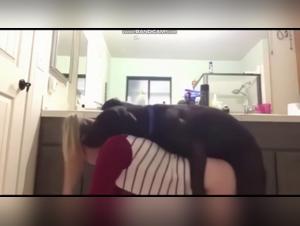 The Demon Dream: Extreme Canine Delights