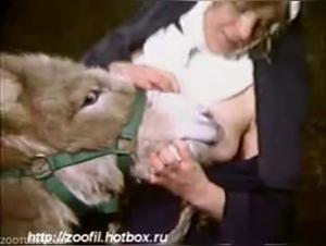 The equine domination of the sisters