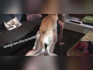 the forbidden world of wild animal sex