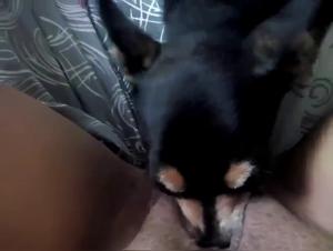 The Intense Beast at the House of a Fucking Dog