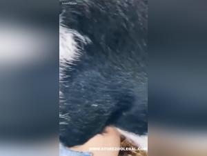 The Joy of Zoophiles: True Portraits of Passion