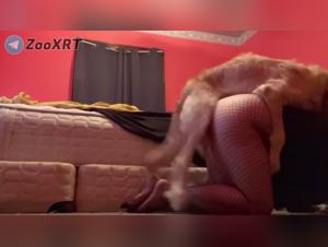 The Jungle of Wild Sex: Bestiality without respite