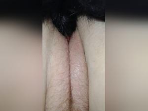 The peak of canine domination: Bestiality Hardcore revealed