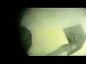 The Savage Obsession: Bestiality Unveiled