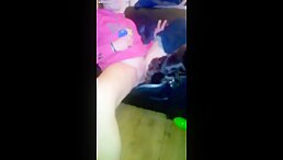 The School of Animal Desire: Masturbation and Fucking