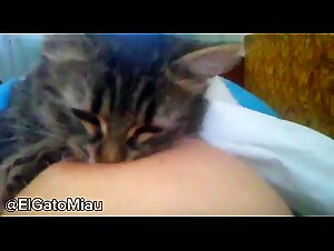 The Sensual Feline: Extreme Zoofilic Delights