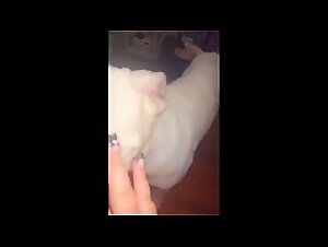 The slut and her dog are having fun!