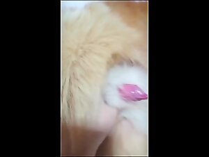 The slut gives in to animal desire