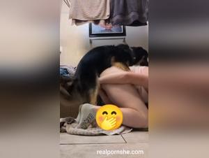 The slut sucks her powerful dog
