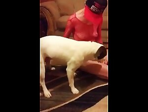 The Slutty Granny Goes Bankrupt: Bestiality Forbidden