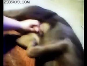 The Sultry Secrets of ZoosKool Wolfteen Part 2